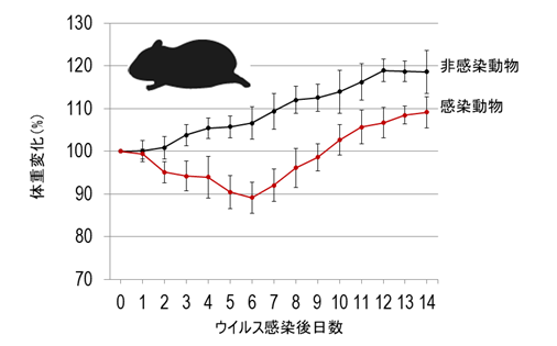 気胸 コロナ