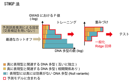 機械学習を用いたうつ病症状のリスク予測の研究～精神疾患の個別化医療を目指して～