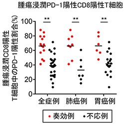 免疫チェックポイント阻害薬(PD-1/PD-L1阻害薬)の治療効果を高精度に予測するバイオマーカーを同定