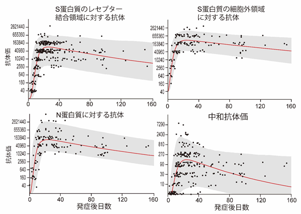 羅漢 罹患 違い