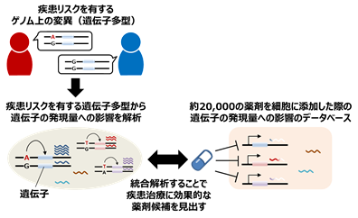 疾患ゲノム情報と薬剤データベースを統合する新たなゲノム創薬手法を