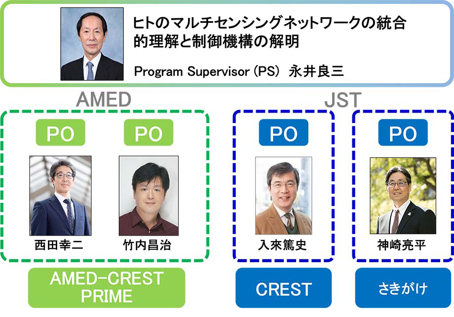 体勢図（内容は上記表に記載）