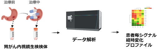 分子標的治療によってがん組織で変化するリン酸化シグナルを 患者毎に捉えることに成功概要図