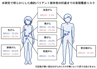 概要イメージ図