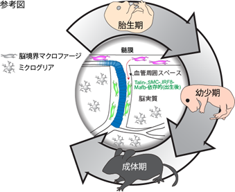 参考図