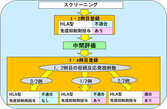 iPS細胞から作製した角膜上皮を 4人の患者に移植する世界初の臨床研究が完了の概要図