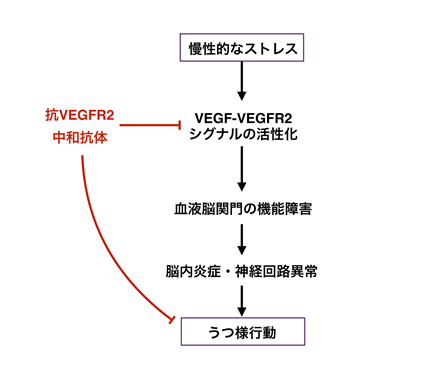 本リリースの概要図2