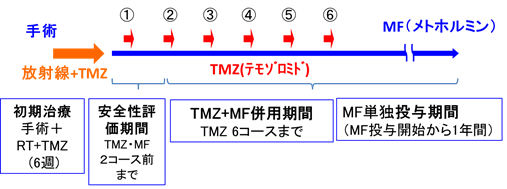 治療プロトコル図