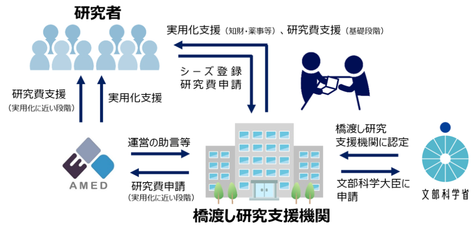 橋渡し研究プログラム概要図