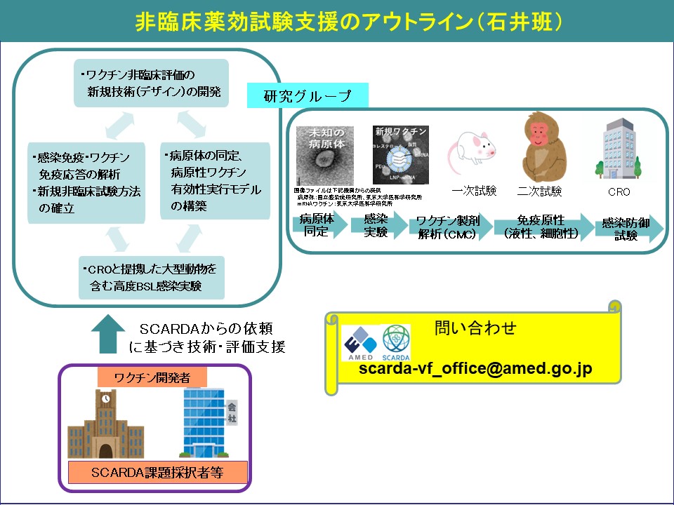 非臨床薬効試験支援のアウトライン