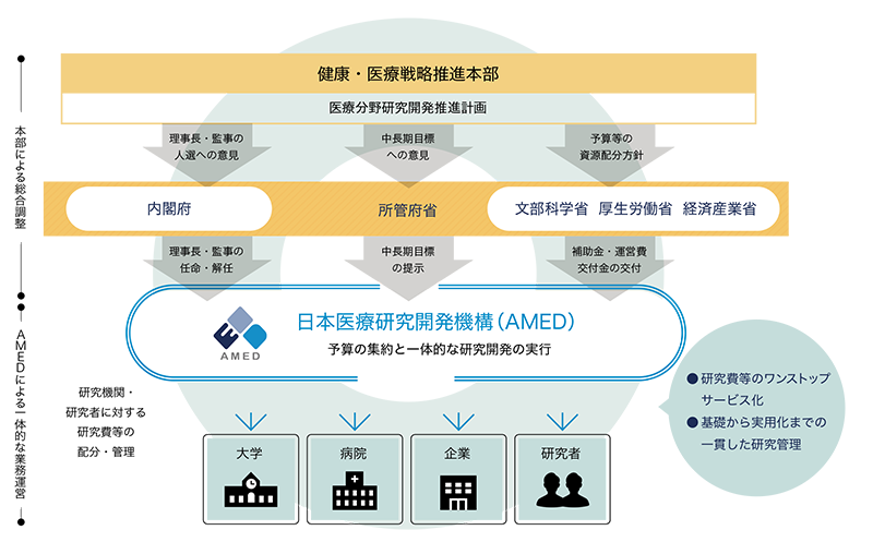 AMEDの体制図