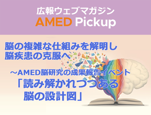 【イベント☆レポート】脳の複雑な仕組みを解明し、脳疾患の克服へ～AMED脳研究の成果報告イベント「読み解かれつつある脳の設計図」