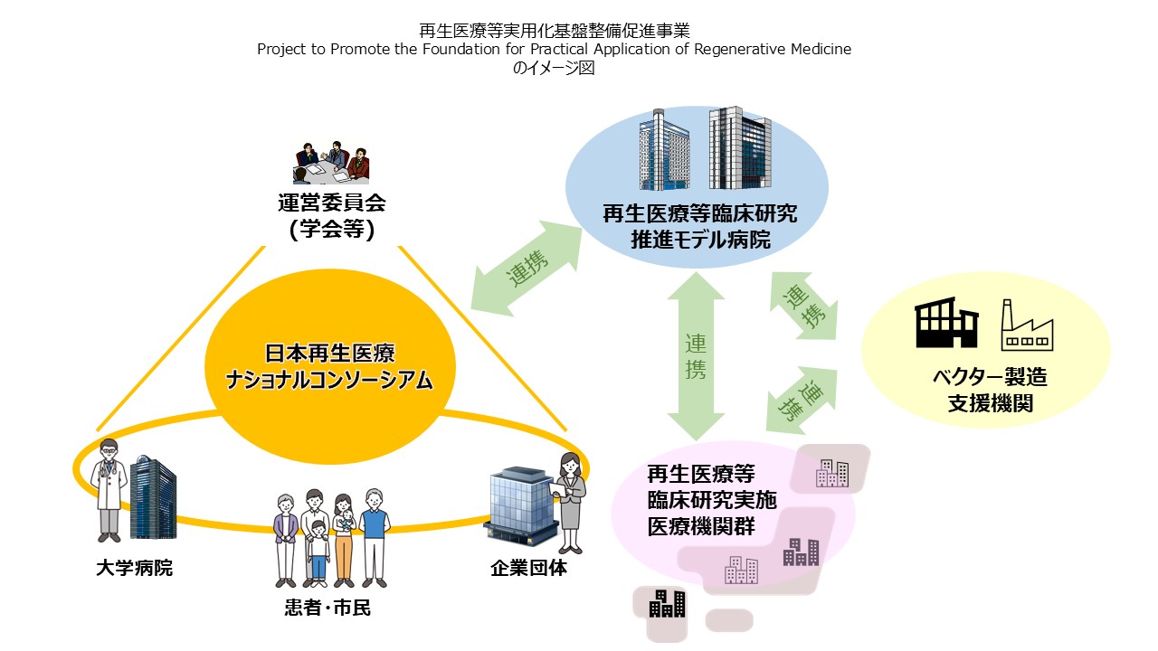 再生医療等実用化研究事業の図