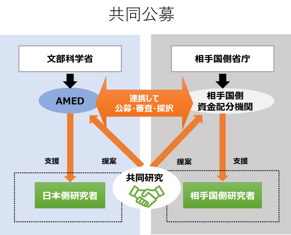 共同公募