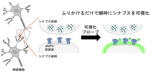 概要イメージ図