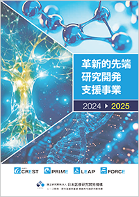 表紙画像