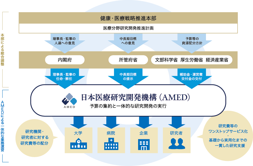AMEDの位置づけ