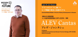 【研究開発課題名】アクシオロイドに基づくヒト腎臓の発生と疾患モデル