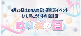 4月25日はDNAの日！研究班イベント「ひも解こう！体の設計図」