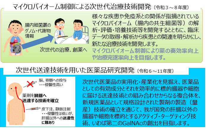次世代送達技術を用いた医薬品研究開発