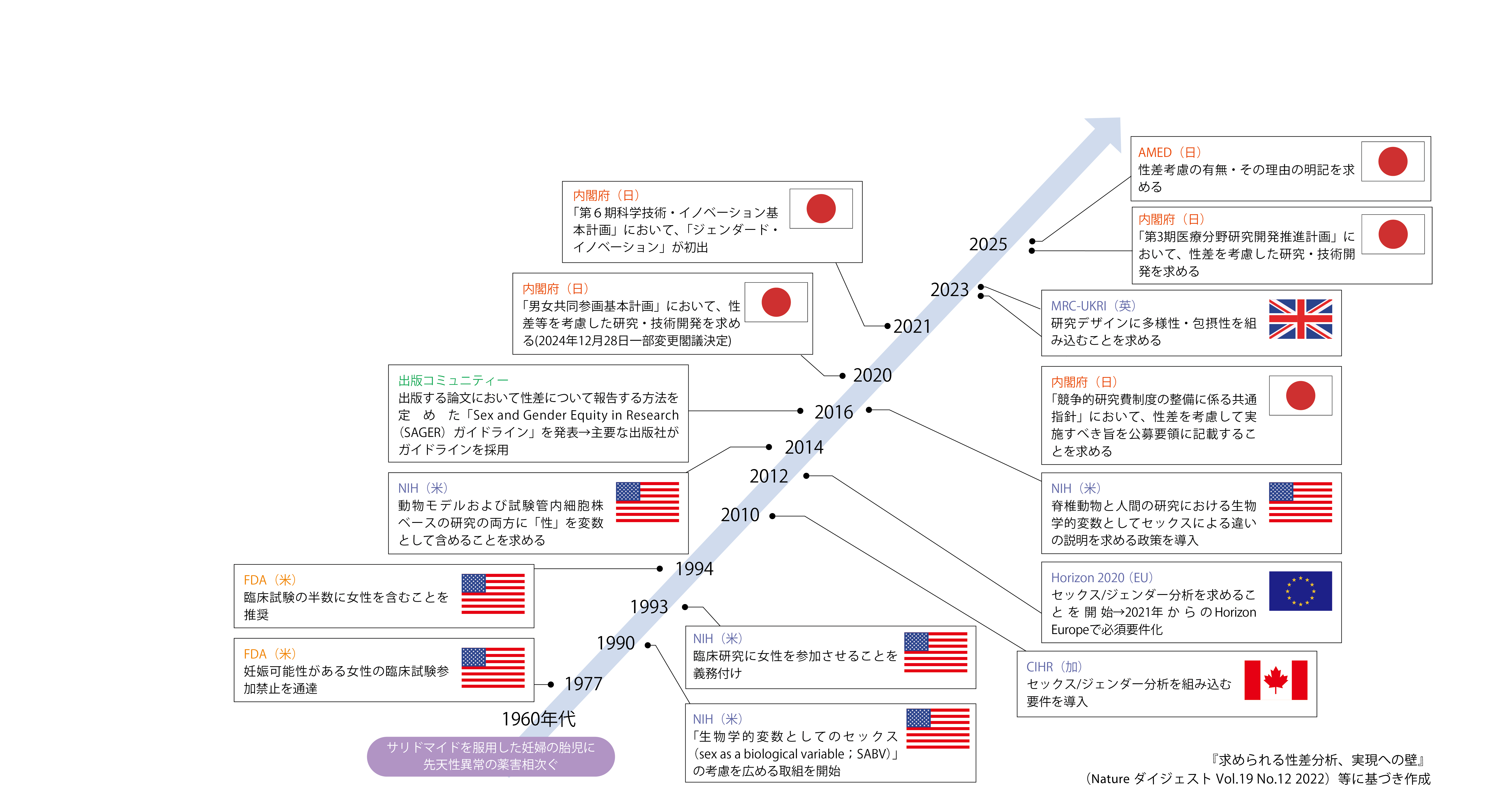 タイムライン概要図