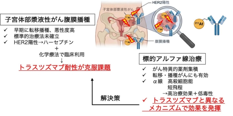 図1 子宮体部漿液性がん治療の現状と標的アルファ線治療