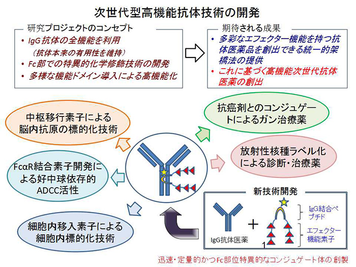 ＜図1＞本プロジェクトの研究概要