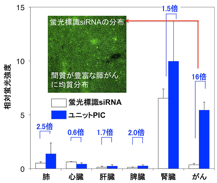 Graph3