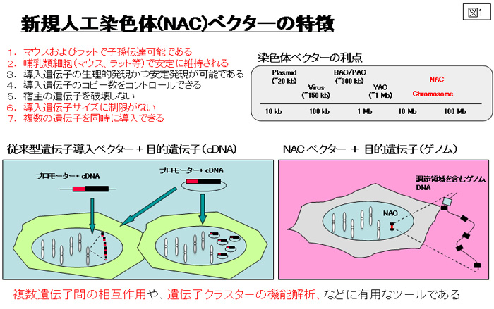 Figure4