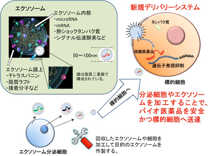 食品・飲料・酒DDS EXOSOME